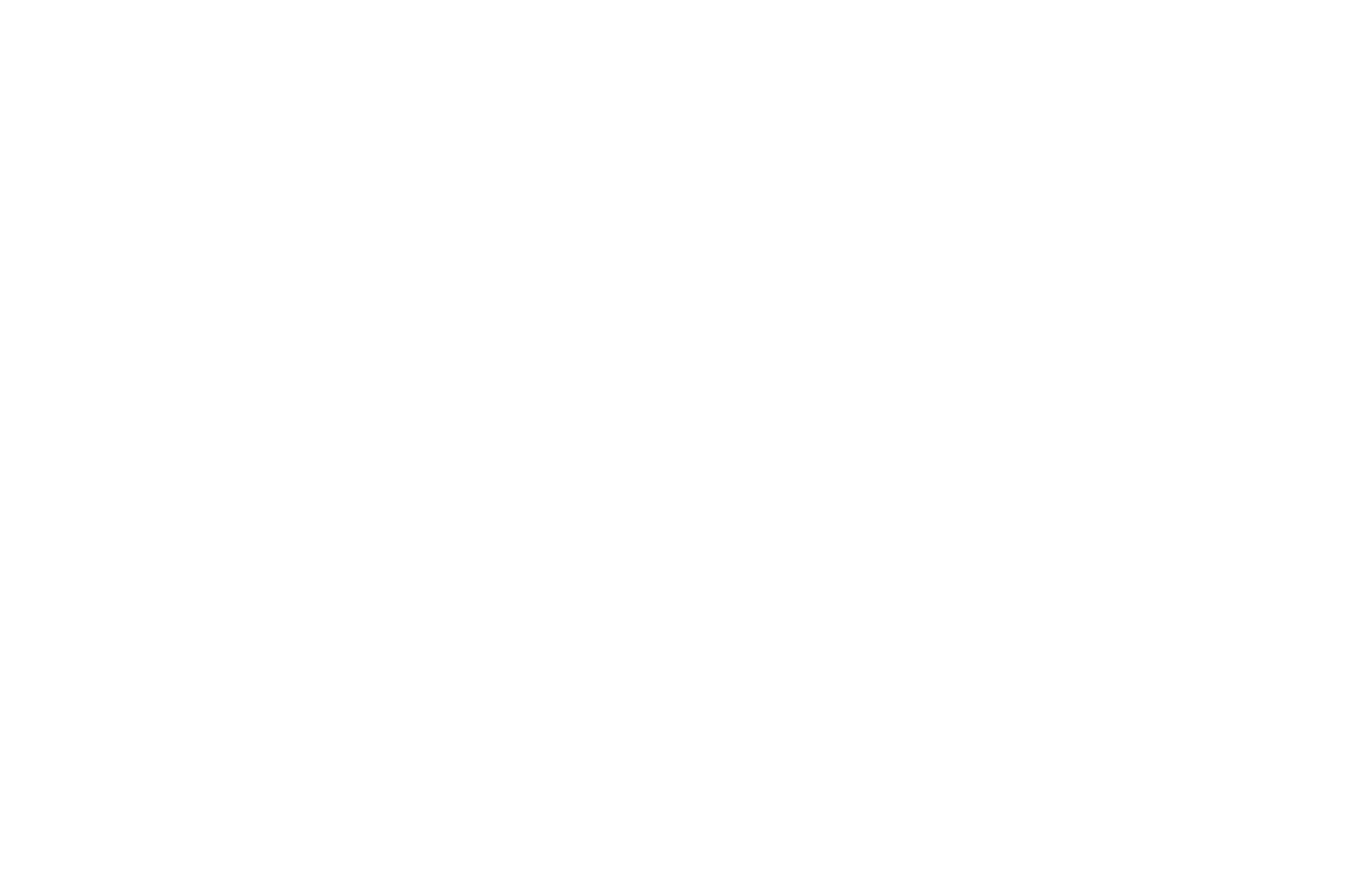 Home In Action Homeboy Logo
