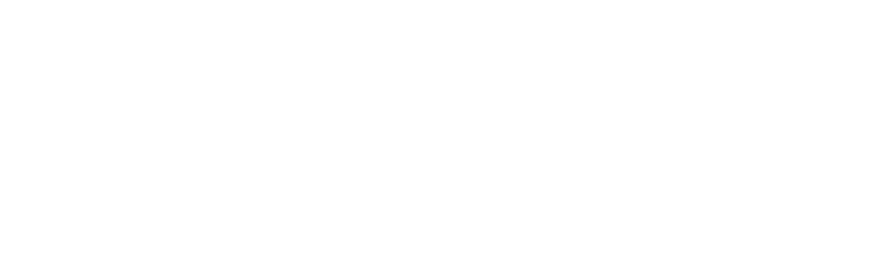 Lo Maximo x Homeboy Logo